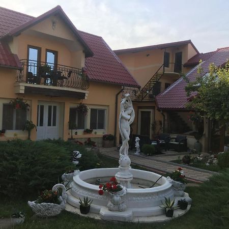 Pensiunea Darius Costinesti Buitenkant foto