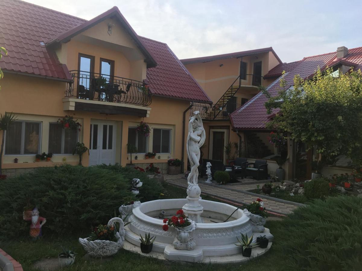 Pensiunea Darius Costinesti Buitenkant foto